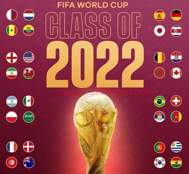 2022卡塔尔世界杯12强分组