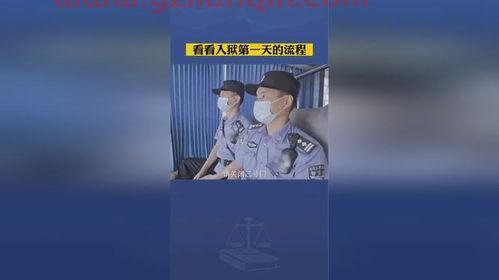 ***1天气预报直播