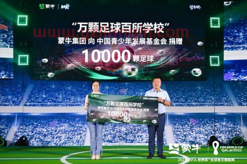 足球世界杯2018冠军