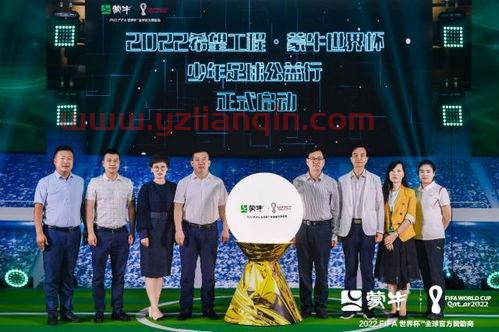 世界杯中国足球队