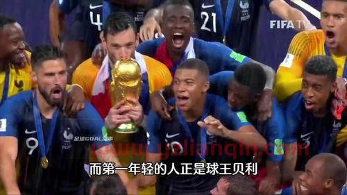 法国队历届世界杯战绩