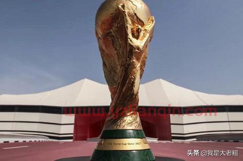 2022世界杯亚洲球队有几个