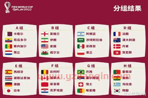 世界杯夺冠最多的国家
