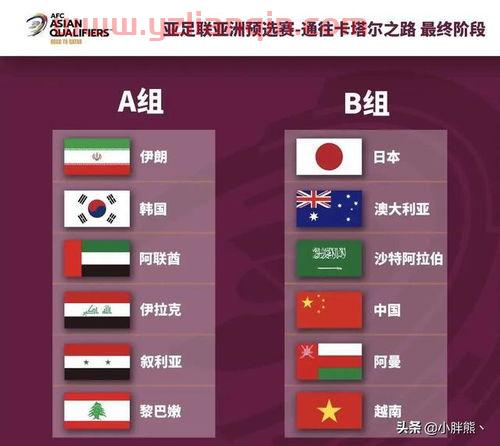 2022卡塔尔世界杯亚洲区预选赛积分榜（2022年卡塔尔世界杯亚洲区预选赛分组） 第1张