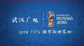2022卡塔尔世界杯中国队赛程（2022年卡塔尔世界杯赛程表） 第1张