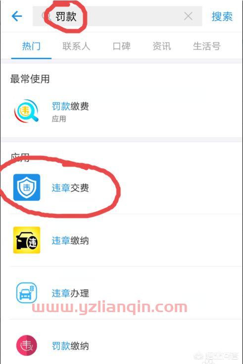 交通违章查询网站