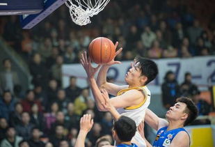 浙江广厦球员大名单（浙江广厦球员名单2019） 第1张
