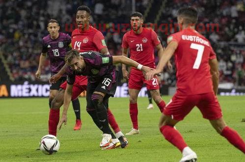 美国队2022世界杯（2022世界杯预选赛美国队） 第1张