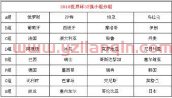 2006世界杯分组情况（2002世界杯分组情况） 第1张