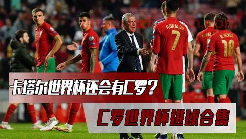 葡萄牙还能进入卡塔尔世界杯吗（卡塔尔直接进世界杯） 第1张