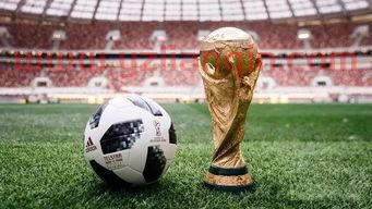 20224世界杯（世界杯2022年） 第1张