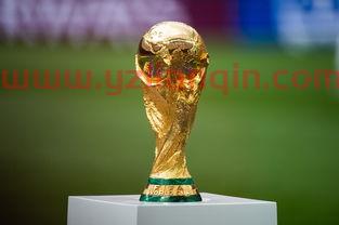 世界杯2022时间和地点（2022世界杯具体时间） 第1张