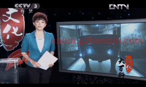 中央***10直播在线观看（中央***10直播在线观看味道） 第1张