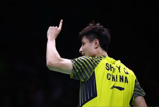 国羽03丢掉汤杯冠军（汤姆斯杯国羽晋级决赛） 第1张