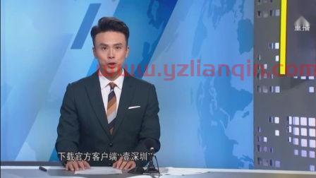 深圳电视台体育频道（深圳电视台体育频道主持人王芃） 第1张