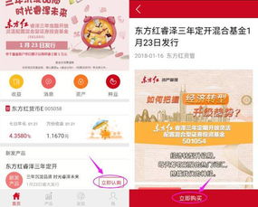 东方红睿泽三年定开基金（东方红睿泽三年定开基金三年开放后还能续回吗?） 第1张