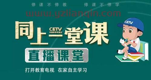中国教育4台在线直播（中国教育频道4台直播） 第1张