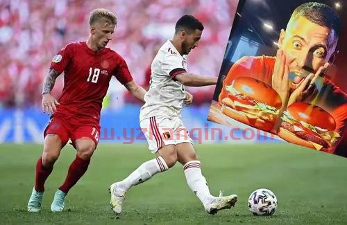 2021欧洲杯各国球员身价（2021年欧洲杯身价最高球队） 第1张