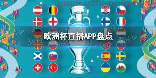 2020欧洲杯在哪儿看（2020欧洲杯在哪个app可以看） 第1张