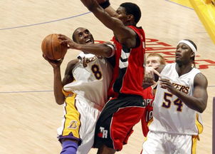 06nba得分榜（2006nba得分榜） 第1张